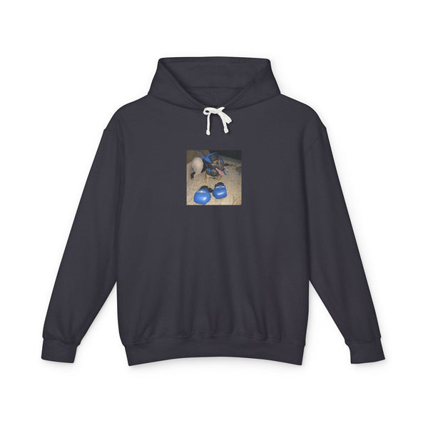 Boxing K9 Hoodie
